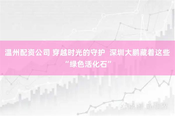 温州配资公司 穿越时光的守护  深圳大鹏藏着这些“绿色活化石”