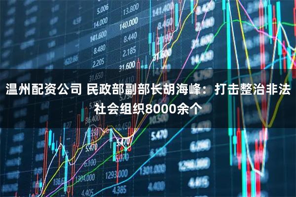 温州配资公司 民政部副部长胡海峰：打击整治非法社会组织8000余个